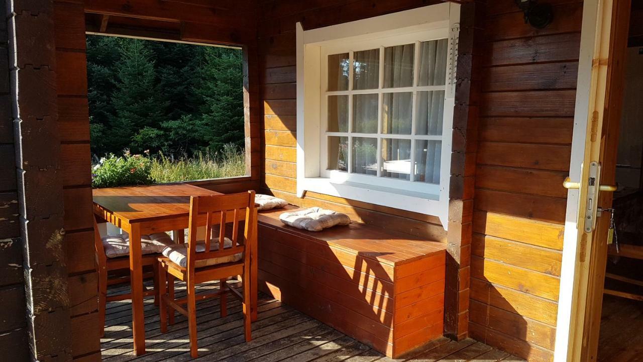 Chalet Taffski Borovets Exterior photo